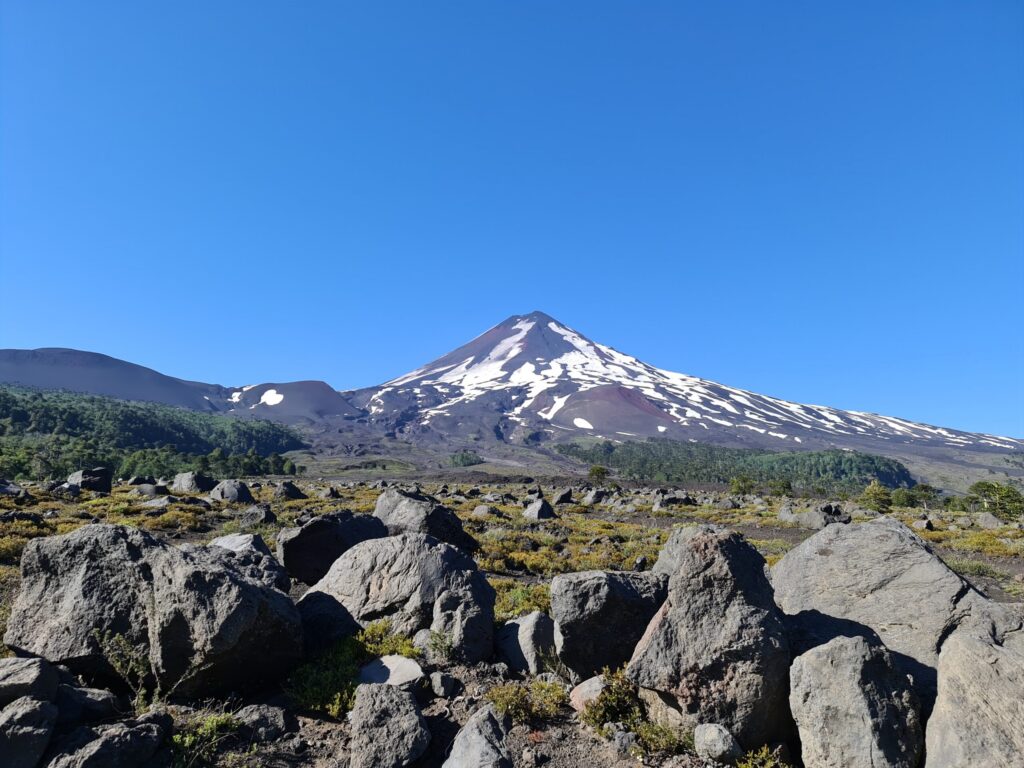 MapBiomas Chile: na região Centro-Sul do país, 500 mil hectares de floresta nativa foram perdidos em duas décadas