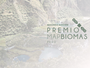 A segunda edição do Prêmio MapBiomas Peru já está em andamento! Saiba como participar