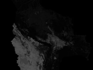 Lanzamiento de la Colección 3 de MapBiomas Bolivia