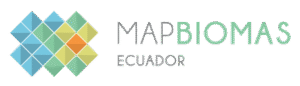 Equador perdeu mais de 1 milhão de hectares de vegetação primária entre 2001 e 2024, segundo novos dados do MapBiomas