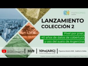 Segundo a última análise, a Argentina perdeu 10,5 milhões de hectares de florestas nativas nos últimos 40 anos