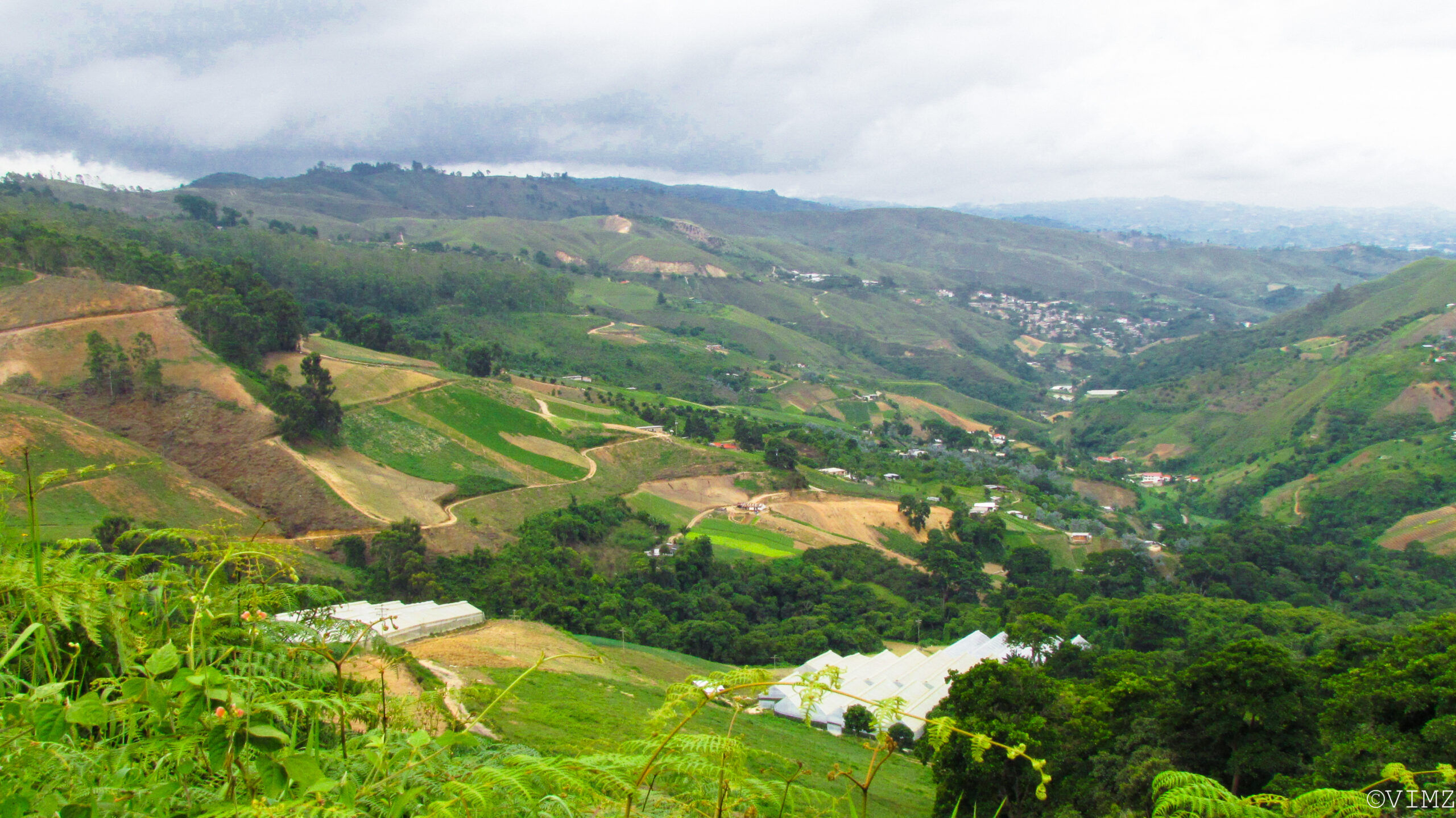 Na Venezuela, a perda líquida de cobertura vegetal ultrapassa 42 mil km2 em quatro décadas 