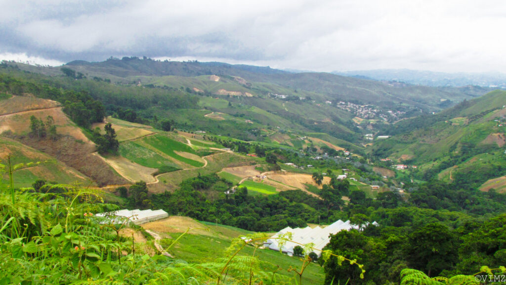 A perda líquida de cobertura vegetal na Venezuela ultrapassa 42.000 km2 em quatro décadas