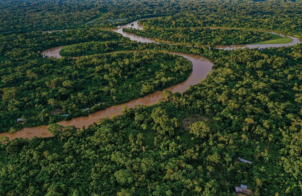 Cobertura e uso da terra