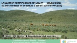 Lançamento da Coleção 3 | MapBiomas Uruguai
