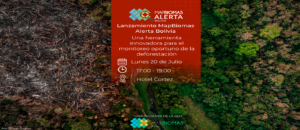 MapBiomas Alerta Bolivia