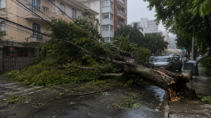 Com menos vegetação nativa, uso da terra no Brasil fica mais exposto aos eventos extremos do El Niño