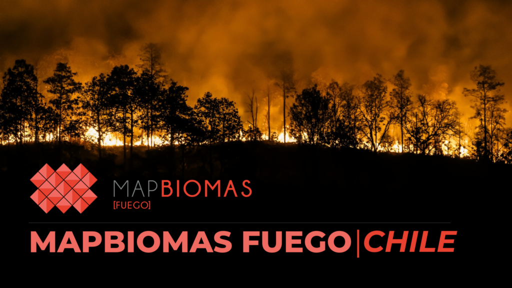 MapBiomas Fuego: Revela mais de 1,2 milhão de hectares afetados por incêndio na área centro-sul na última década
