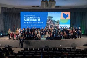 MapBiomas lança Coleção 11 de cobertura e uso da terra
