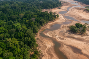 Mais de 2 mil localidades da Amazônia estiveram altamente expostas à seca durante o El Niño em 2024
