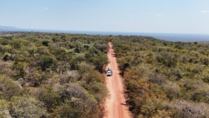 Evento com especialistas em Caatinga discute avanços dos dados do MapBiomas