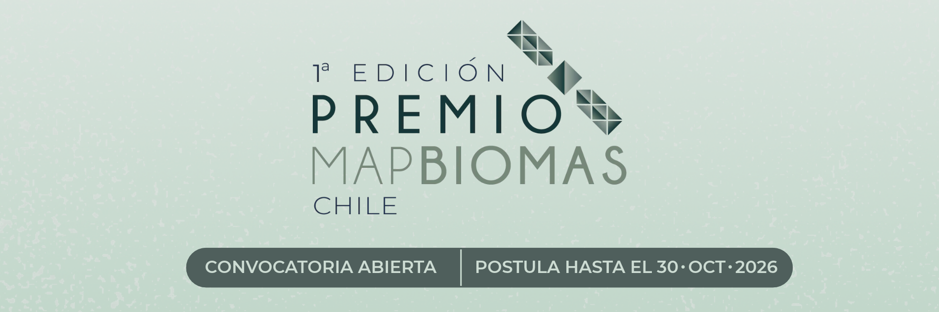 O Prêmio MapBiomas Chile convida à inscrição de trabalhos que utilizem dados de satélite para compreender e gerenciar o território