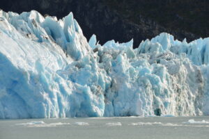 Argentina tiene más superficie agropecuaria que bosques: los nuevos datos de MapBiomas muestran cómo cambió el territorio desde 1985 